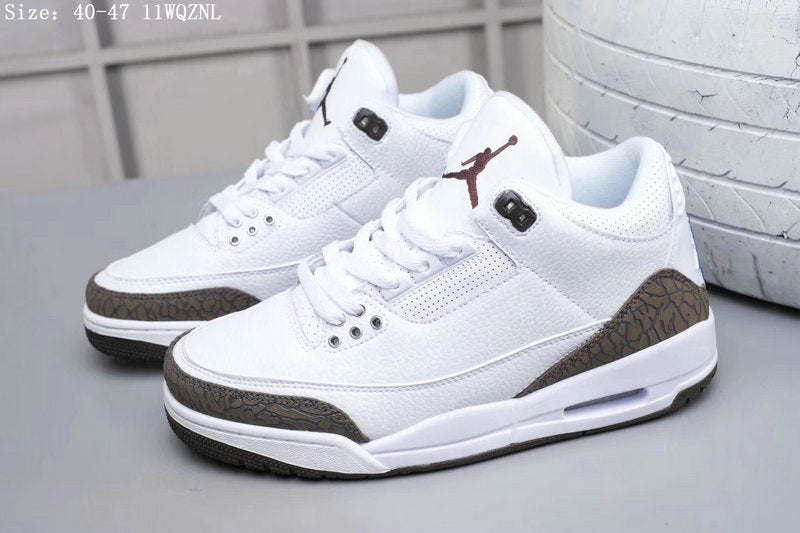 Air Jordan 3